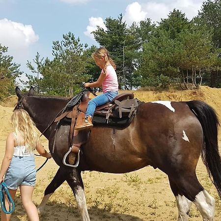 3 Bedroom Chalet On Camping Gt Balen Zewnętrze zdjęcie
