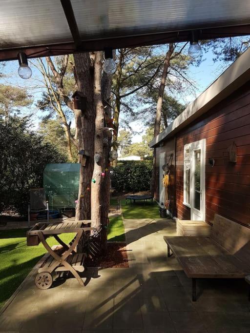 3 Bedroom Chalet On Camping Gt Balen Zewnętrze zdjęcie