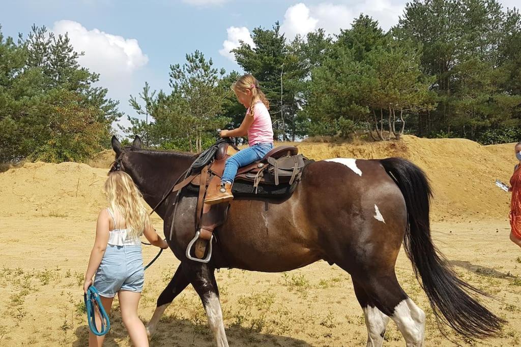 3 Bedroom Chalet On Camping Gt Balen Zewnętrze zdjęcie